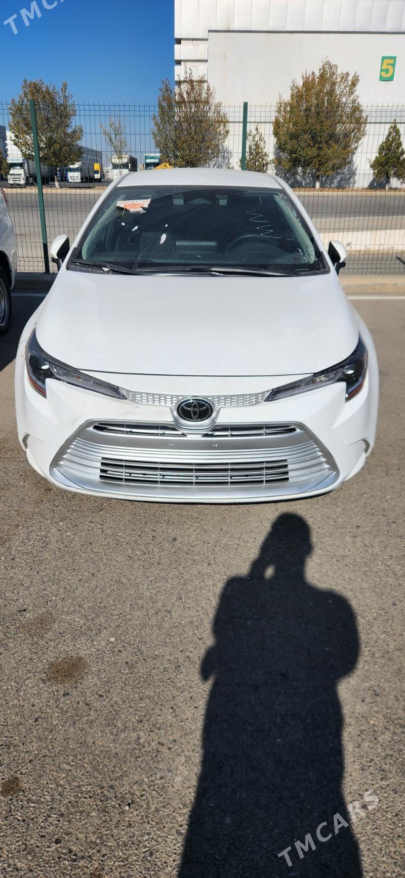 Toyota Corolla 2023 - 280 000 TMT - Гаудан "В" - img 2