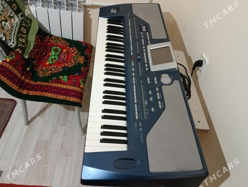 Pa 800 Korg - Бузмеин ГРЭС - img 4