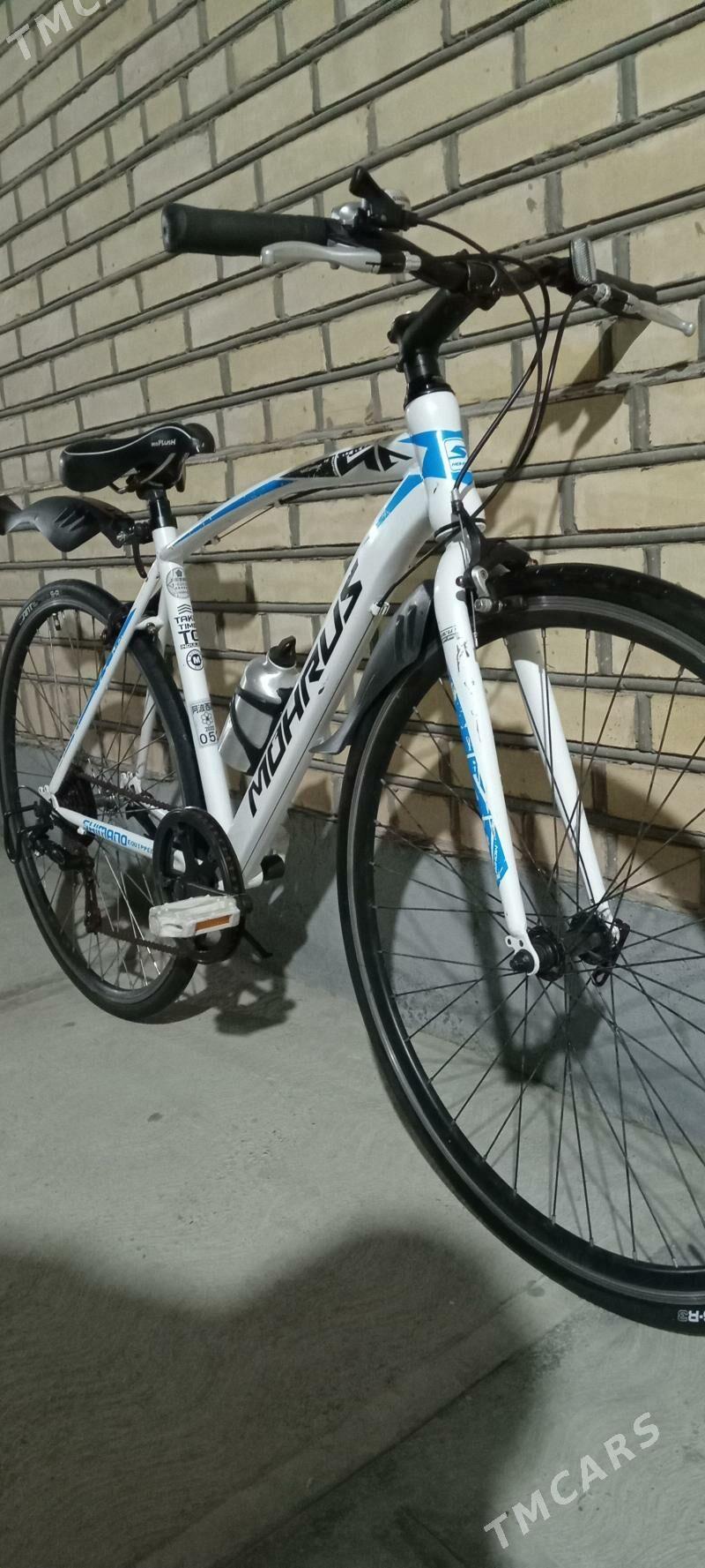 Tigir welisopet arginal Japan - Baýramaly - img 4