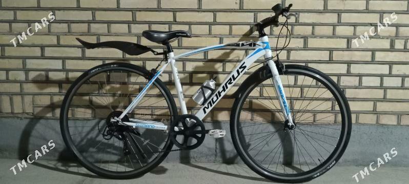 Tigir welisopet arginal Japan - Baýramaly - img 3