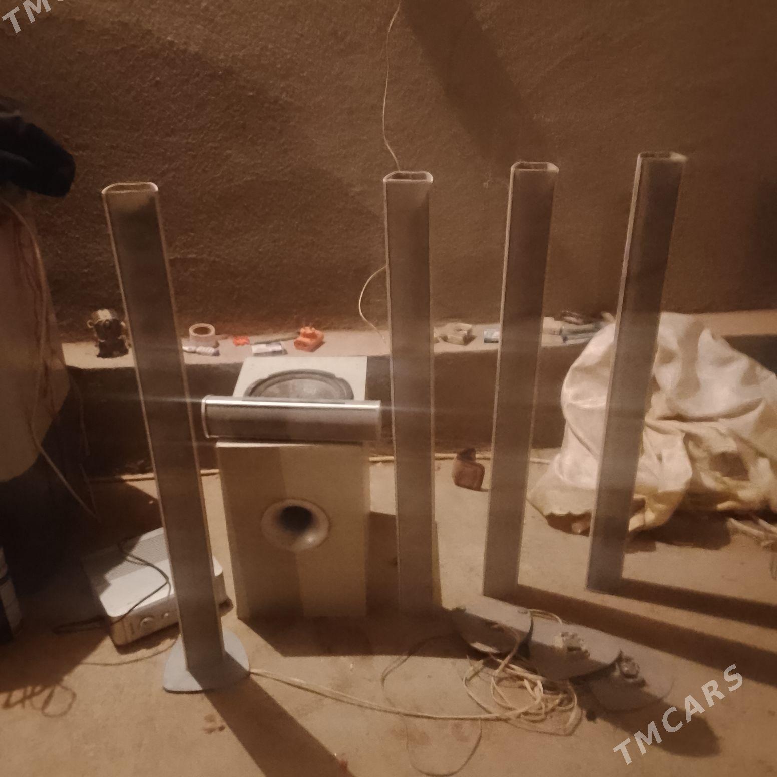 Kaloka suradak ýali - Daşoguz - img 2