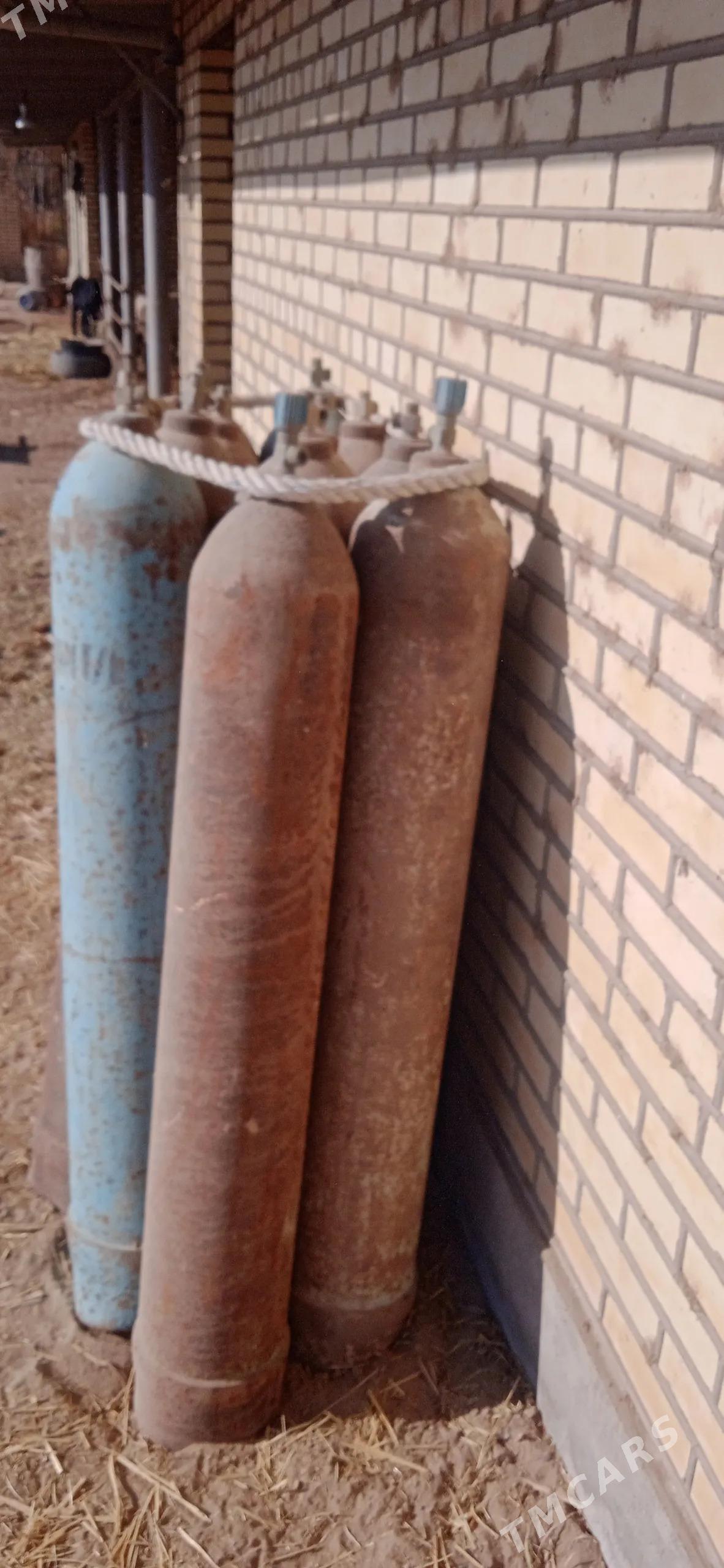 kislarot balon - Туркменгала - img 2