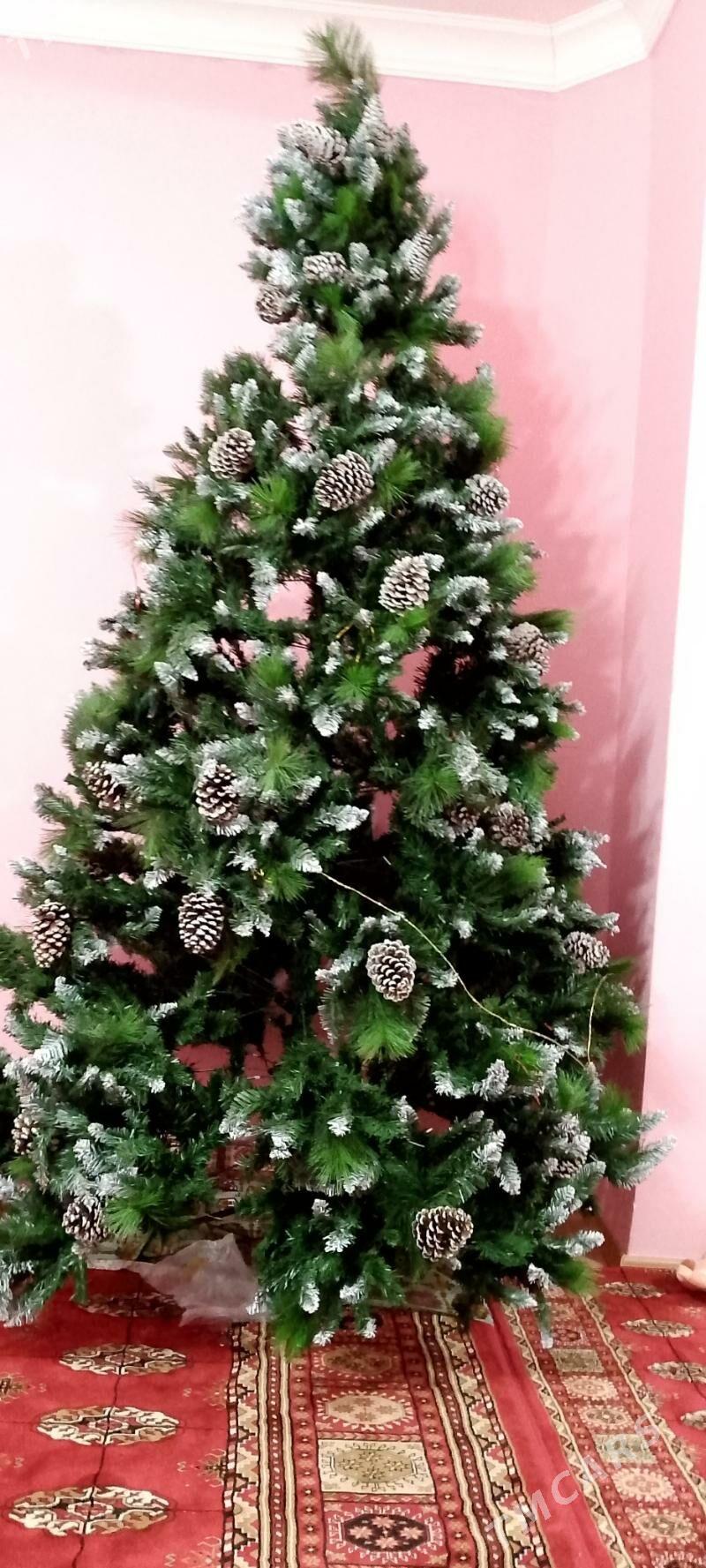 ýolka - Dosaaf - img 1