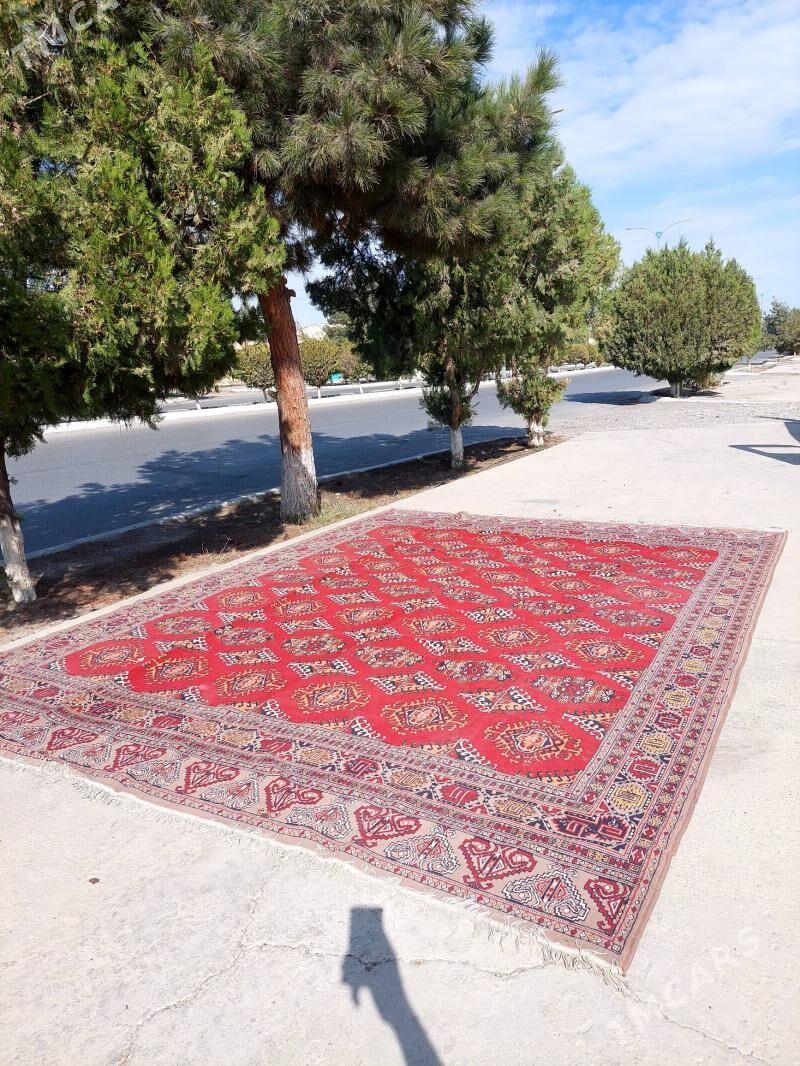 haly 3x4 - Гызыларбат - img 2