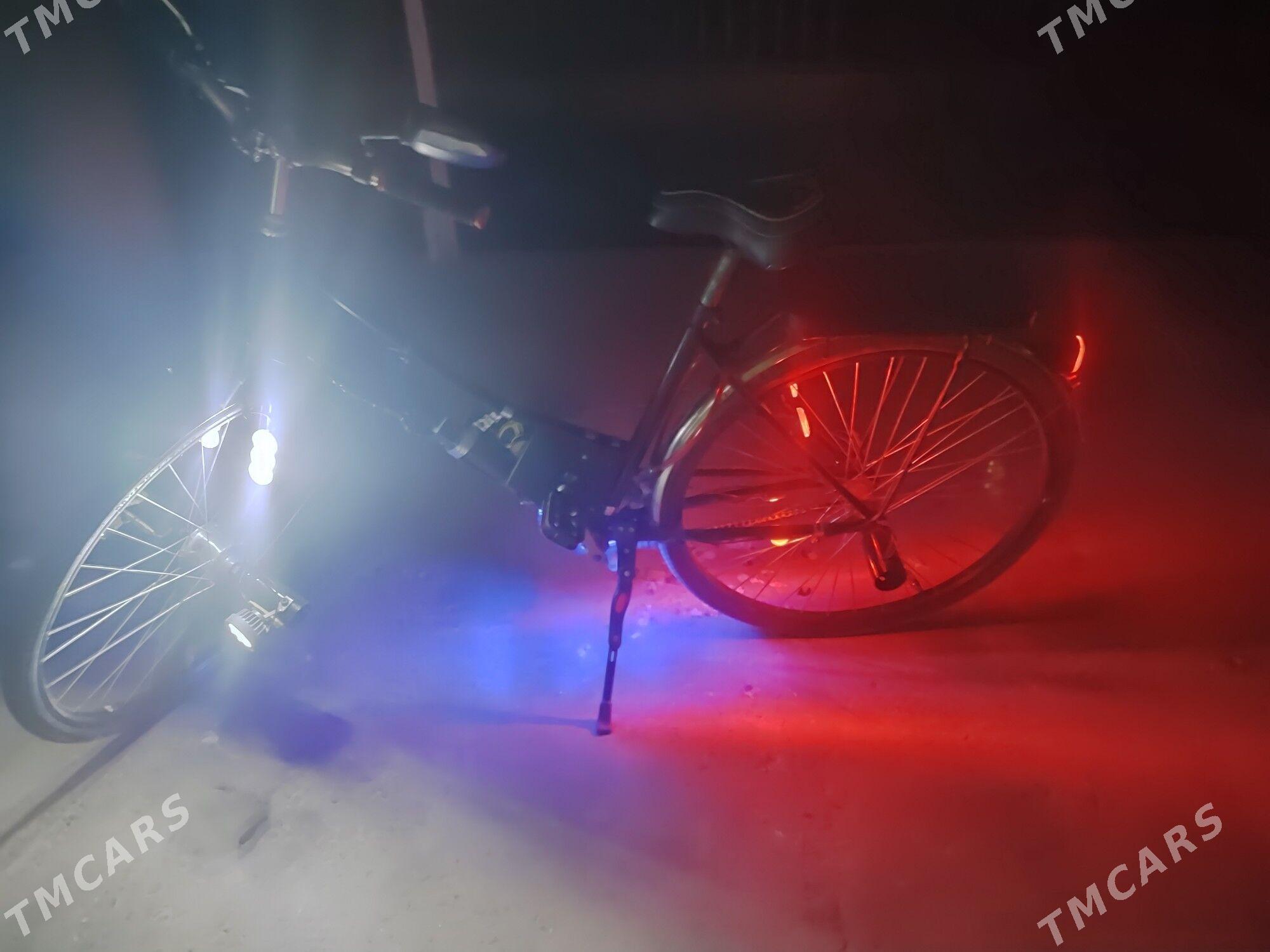 Tigir - Çärjew - img 5