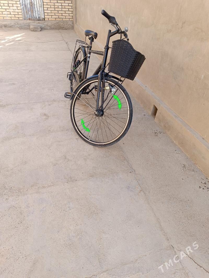 Welik 28 - Mary - img 3