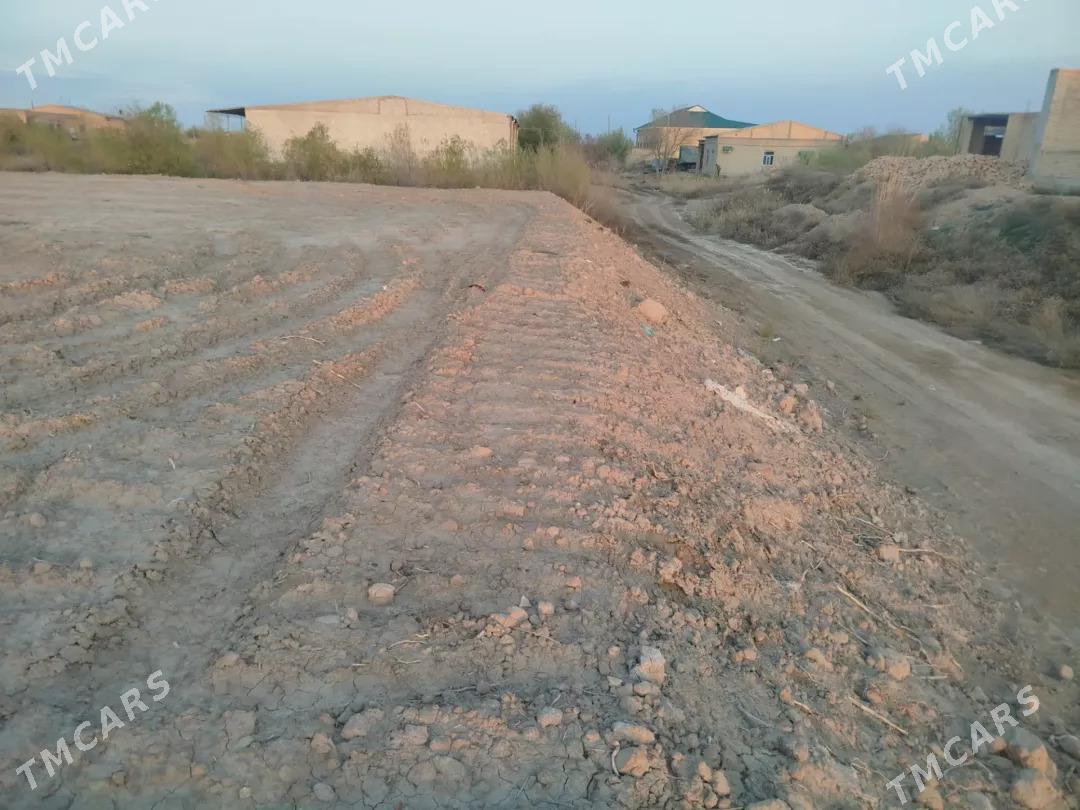 Melek yer 16 sotyk  uglawoy - Туркменабат - img 2