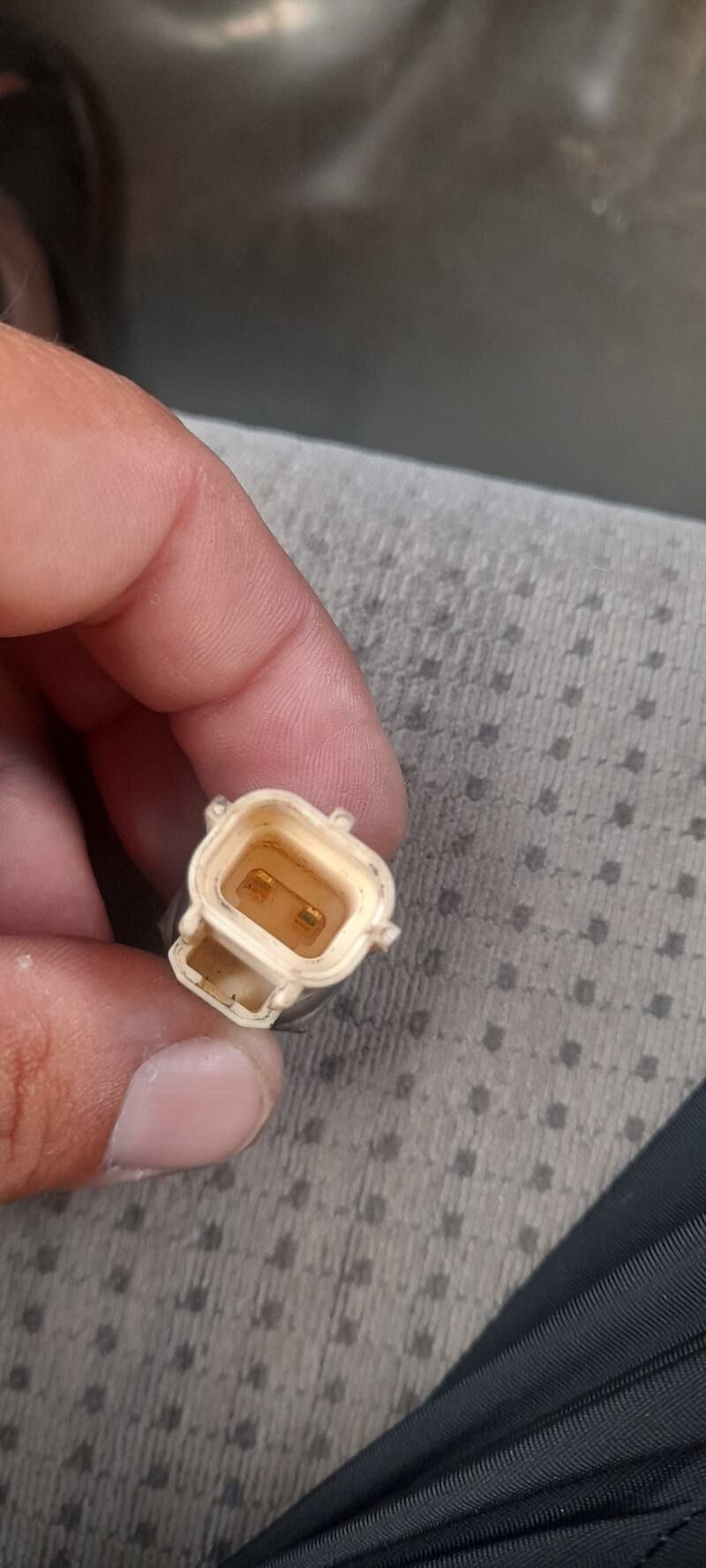 Gök datjik 100 TMT - Бузмеин - img 2