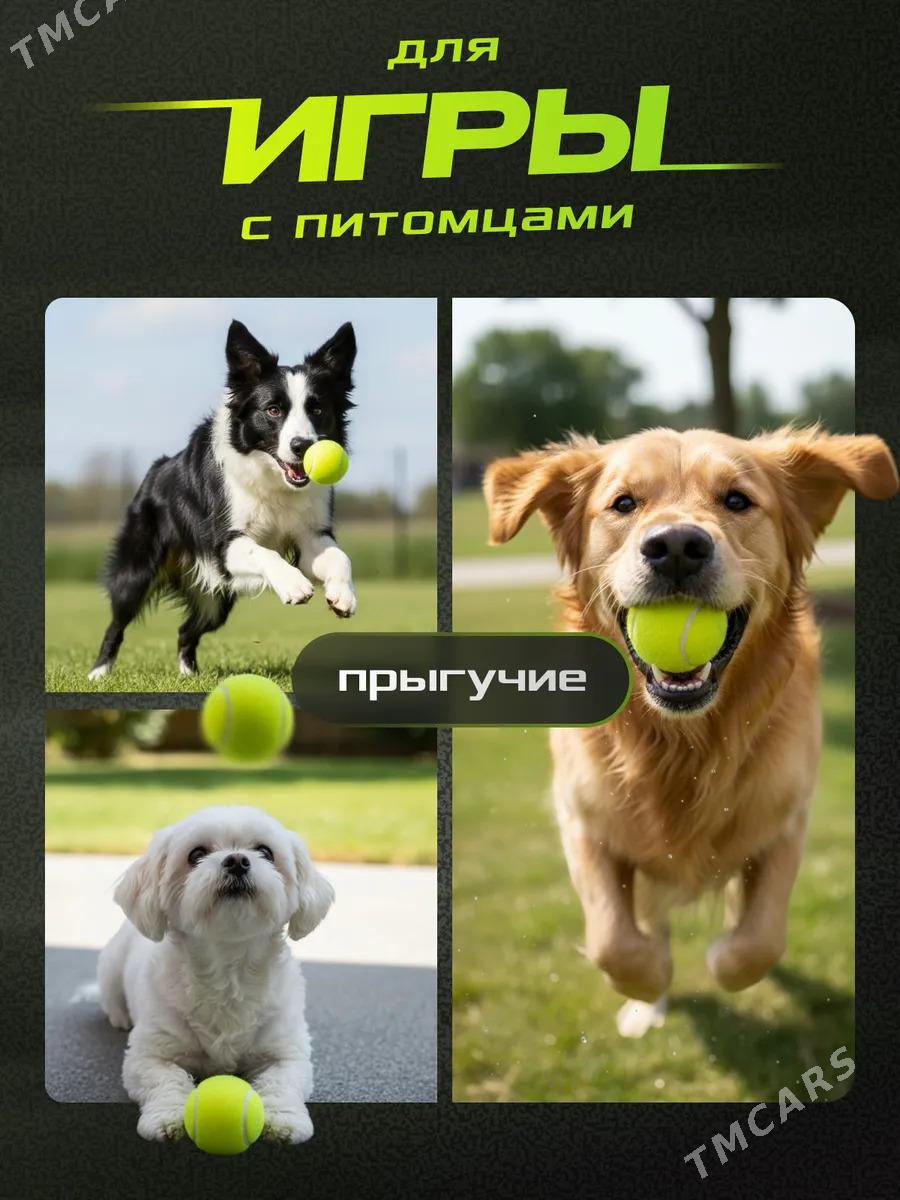 Tennis Top Теннисный Мяч - Ашхабад - img 6