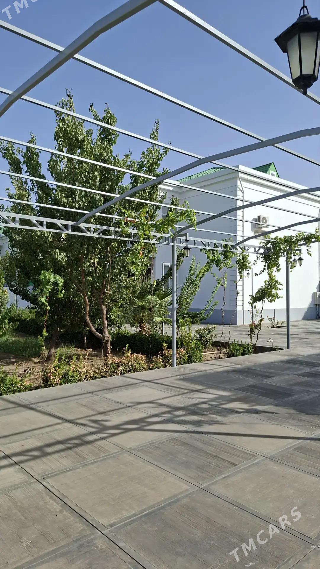 Kywartira - Täze zaman - img 1