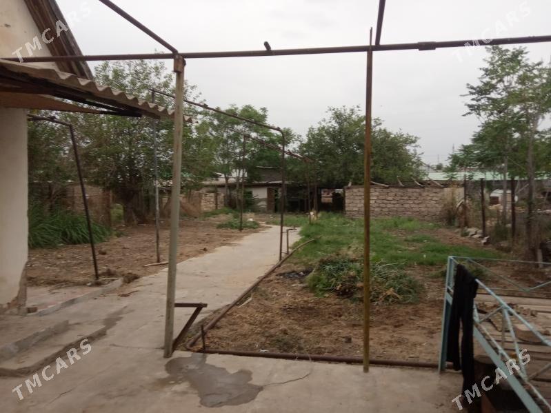 геолог дача анев Anew daca - Änew - img 2