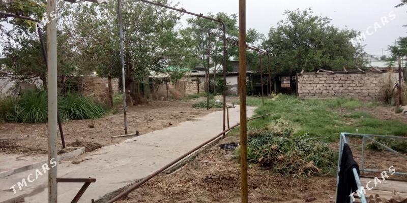 геолог дача анев Anew daca - Änew - img 5