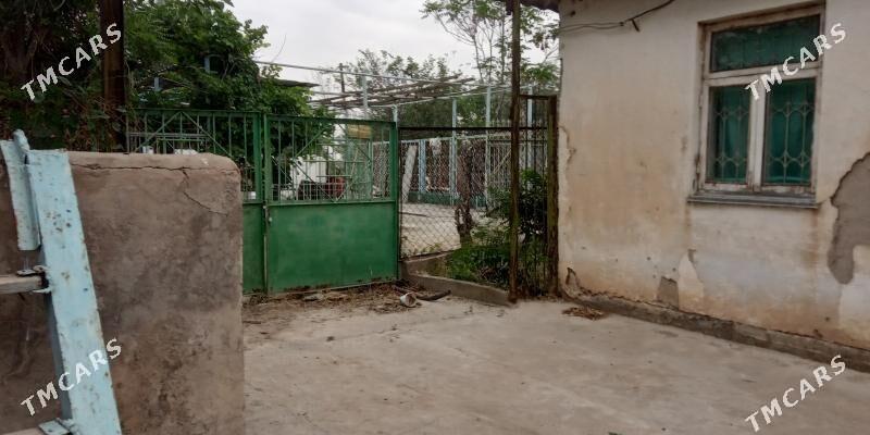 геолог дача анев Anew daca - Änew - img 3