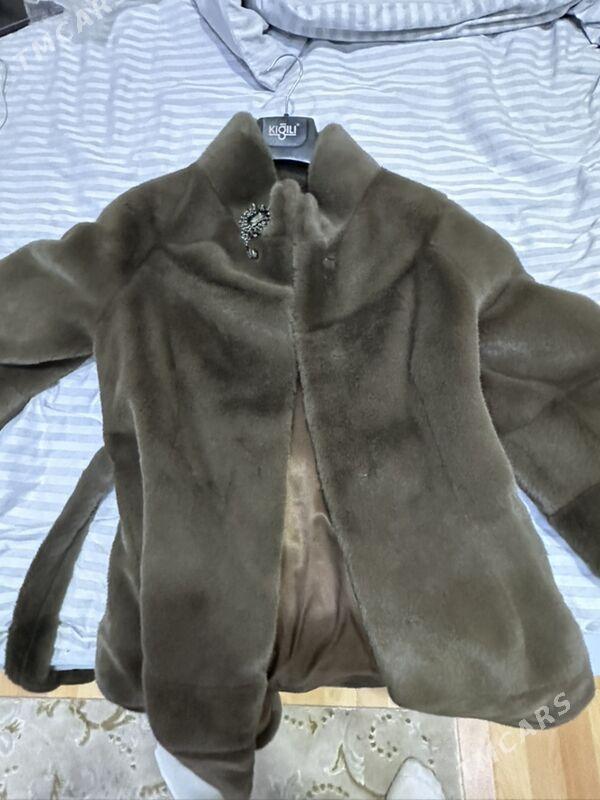 Шуба/Shuba - Aşgabat - img 3