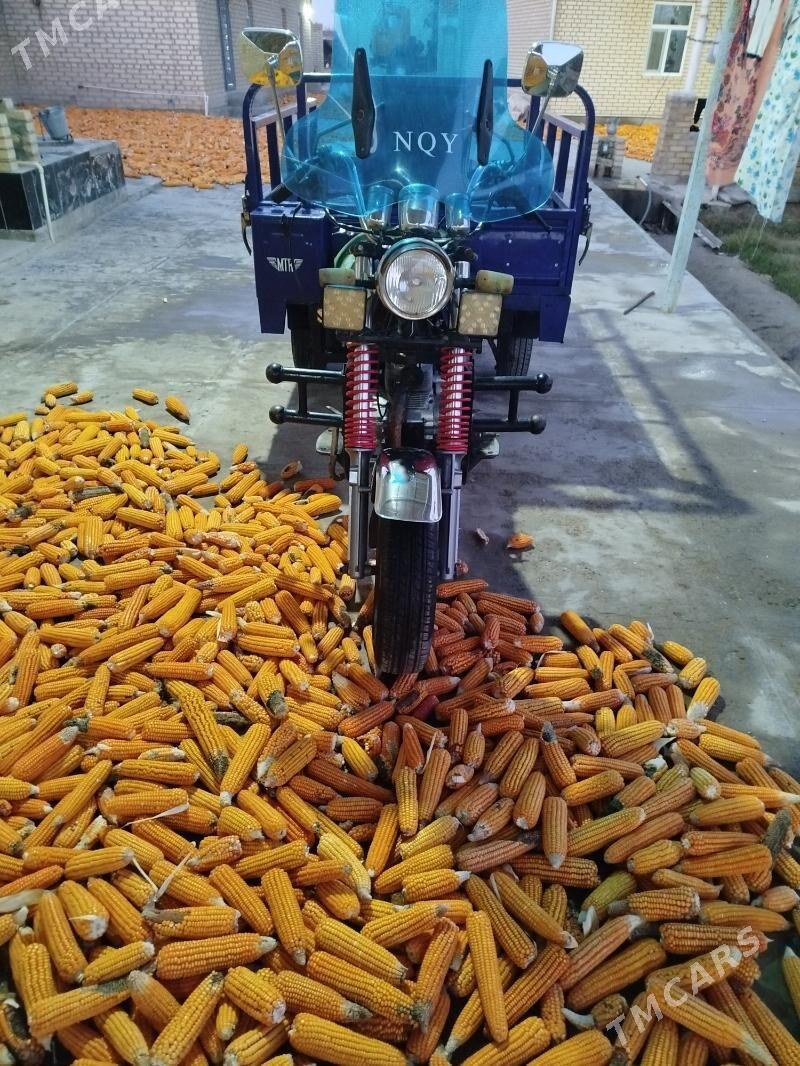 Fekon FK200-14G 2012 - 19 000 TMT - Baýramaly - img 10