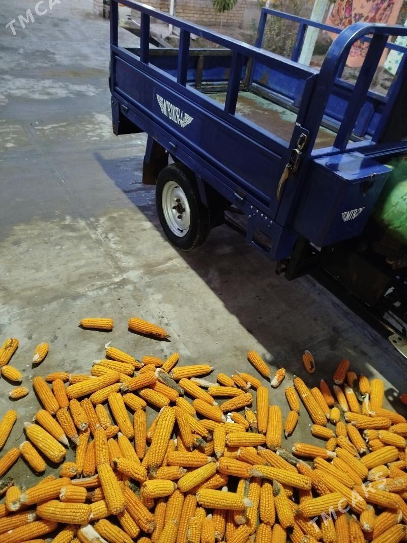 Fekon FK200-14G 2012 - 19 000 TMT - Baýramaly - img 9