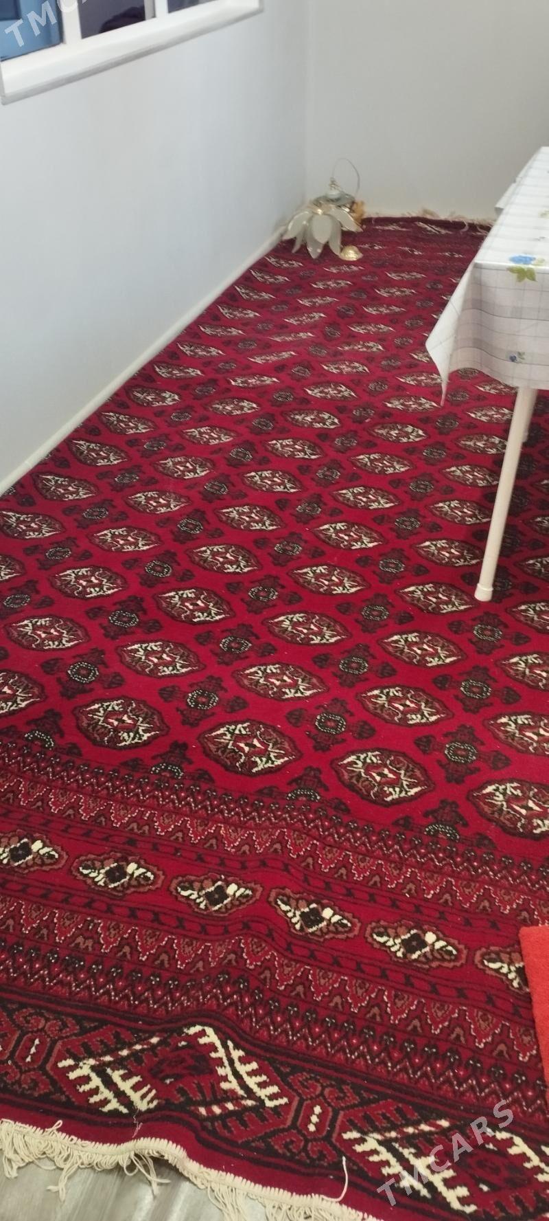 халы - Daşoguz - img 1