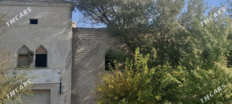 zdanyazdanya - Balkanabat - img 2