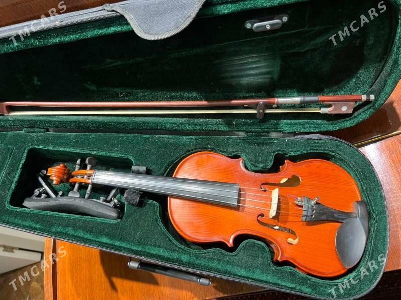 skripka govy yagdayda 1/4 razm - Ашхабад - img 1