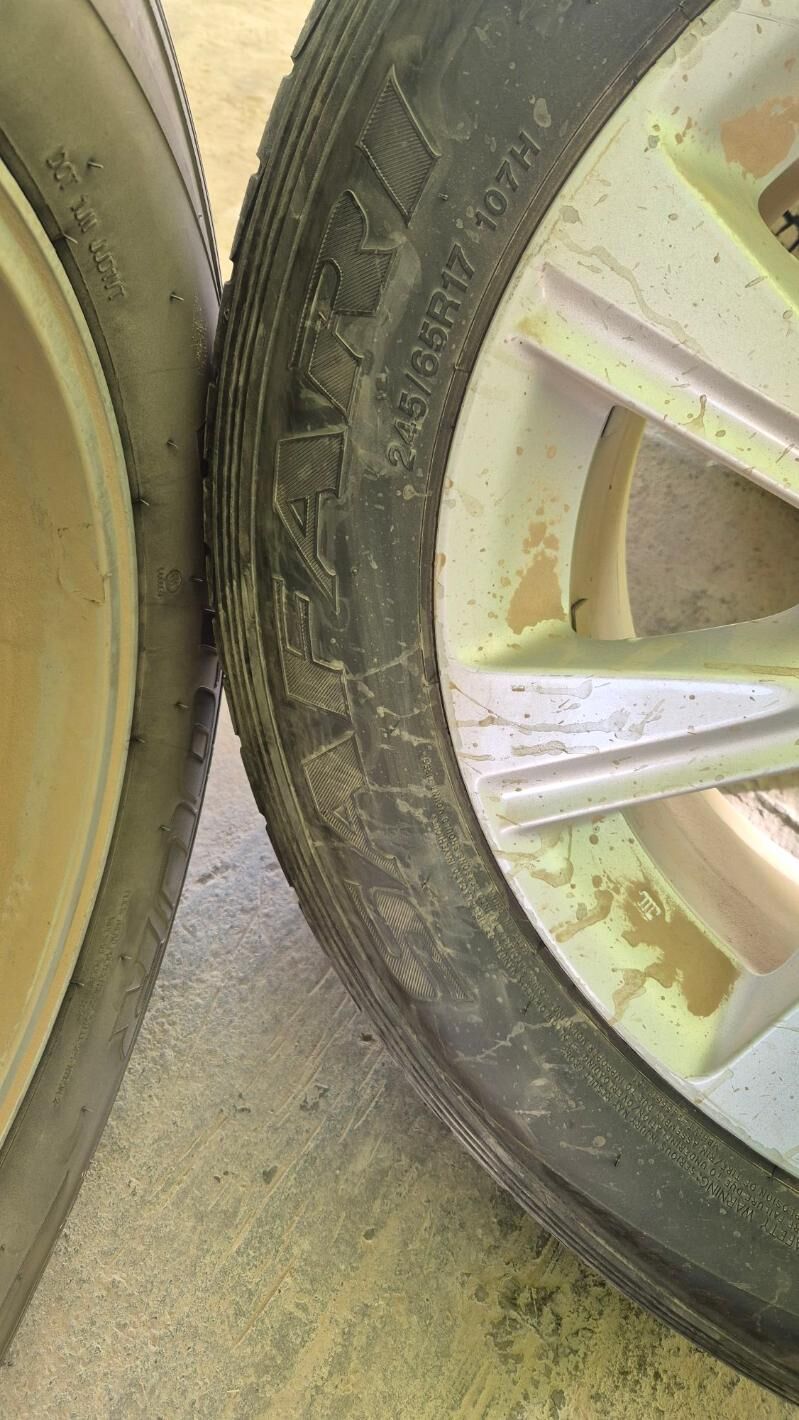 245.65.р 17 8 000 TMT - Гурбансолтан Едже - img 5