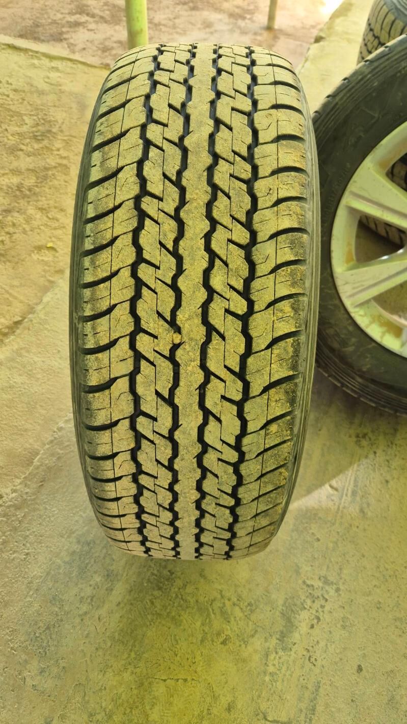 245.65.р 17 8 000 TMT - Гурбансолтан Едже - img 4