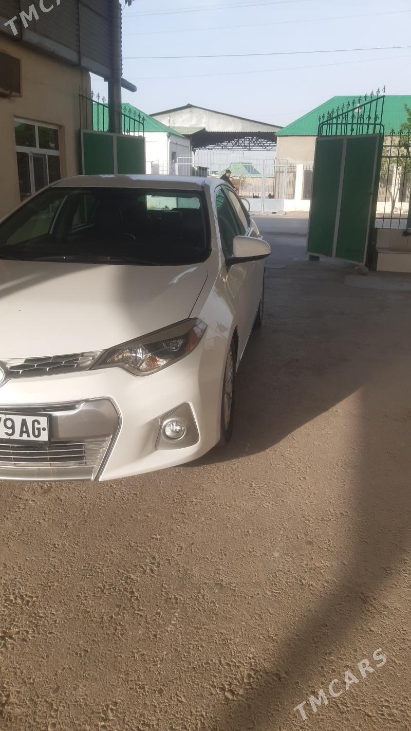 Toyota Corolla 2014 - 185 000 TMT - Büzmeýin - img 3
