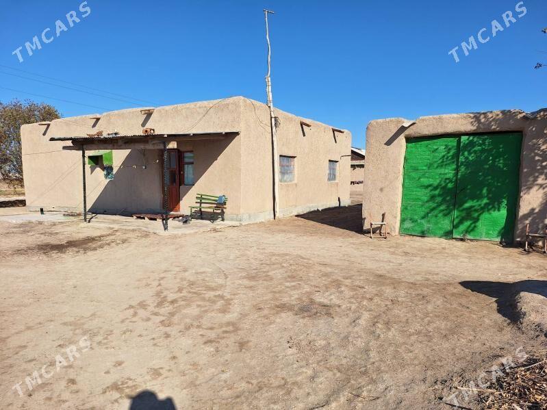 jay - етр. Туркменбаши - img 1