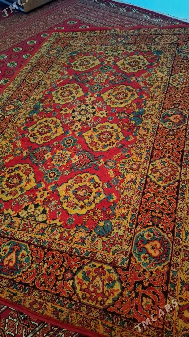 Российский халы, Haly - Türkmenabat - img 2