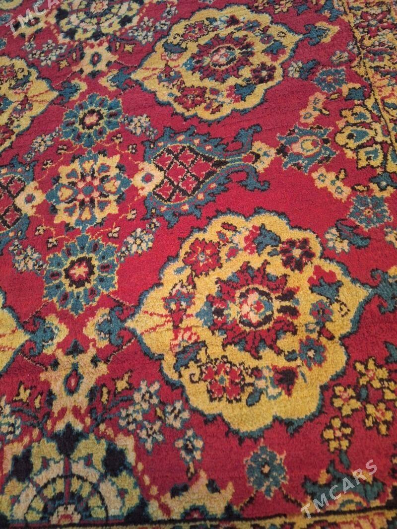 Российский халы, Haly - Türkmenabat - img 4