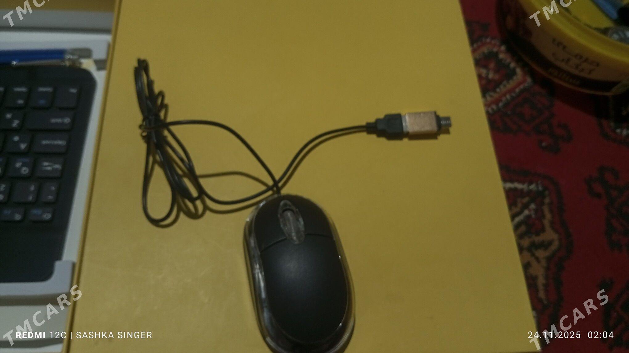 X-prime - Köneürgenç - img 2