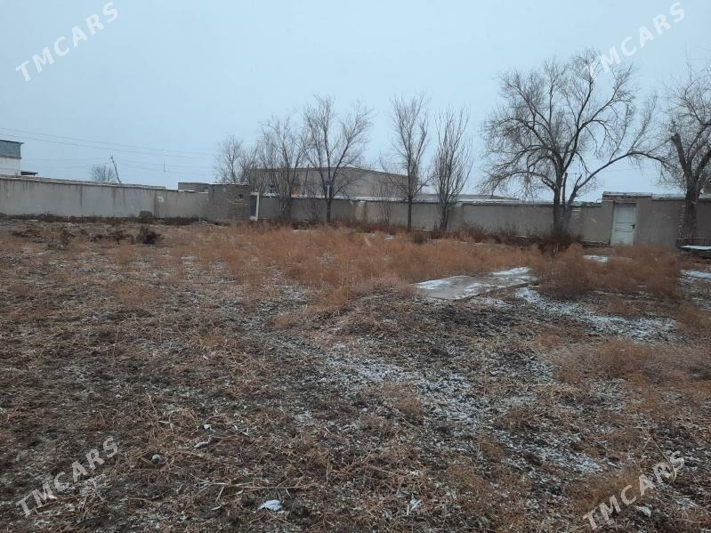 DAÇA - Шабатский этрап - img 3