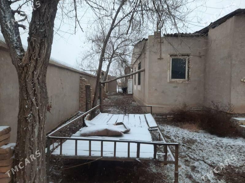 DAÇA - Шабатский этрап - img 4