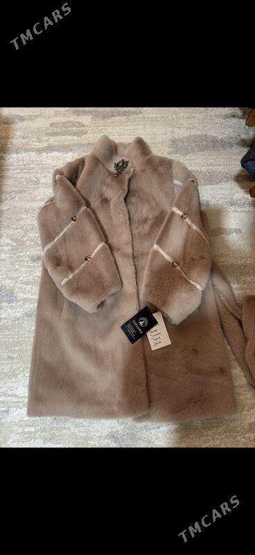 Şubo - Ашхабад - img 3