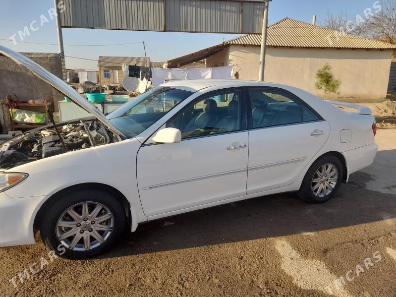 Toyota Camry 2002 - 185 000 TMT - Бабадайхан - img 2