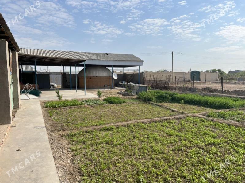 daca - Мары - img 2