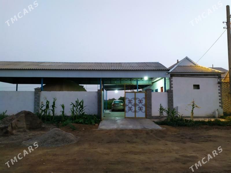 daca - Мары - img 7