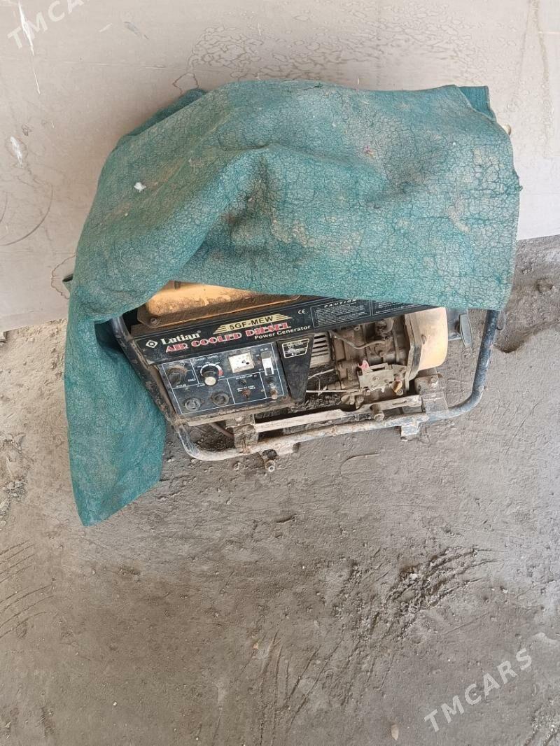 dizel dwzok - Halaç - img 2