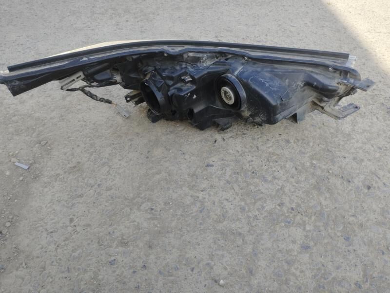 18 19 Haylander fara 1 500 TMT - Mary - img 2