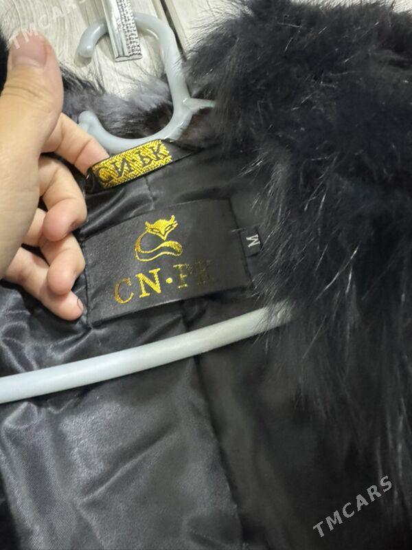 Şuba - Ашхабад - img 2