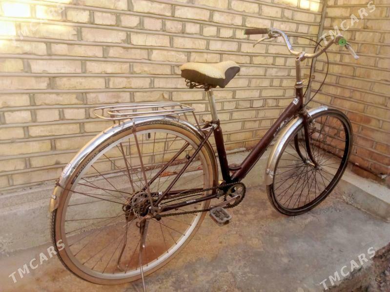 Tigir 27lik - Mary - img 2