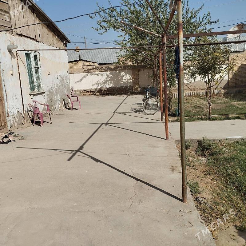 Satlyk jay - Ёлётен - img 3