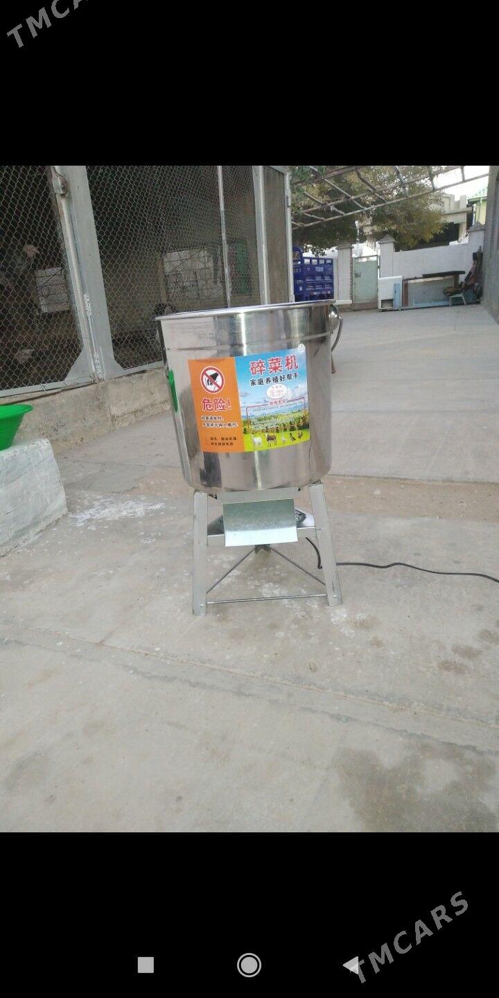 towuk ÿçin - Balkanabat - img 4