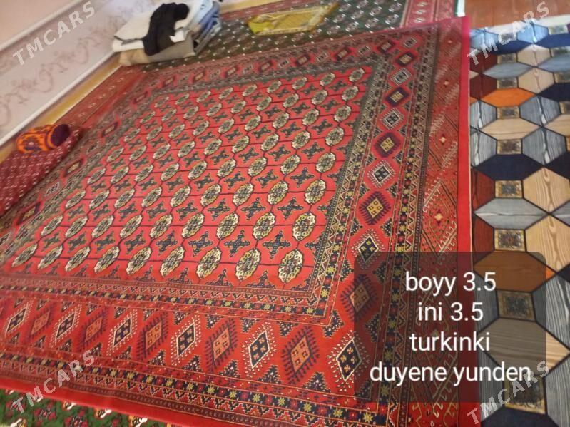 GYSAGLY HALY - Дашогуз - img 2