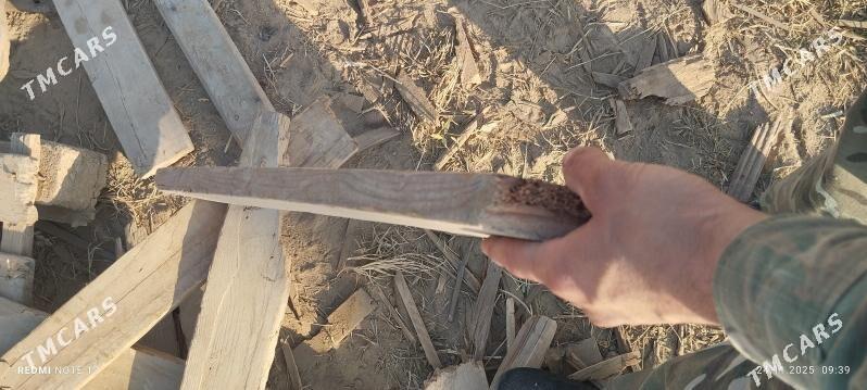 agac - Murgap - img 2