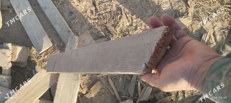 agac - Murgap - img 3