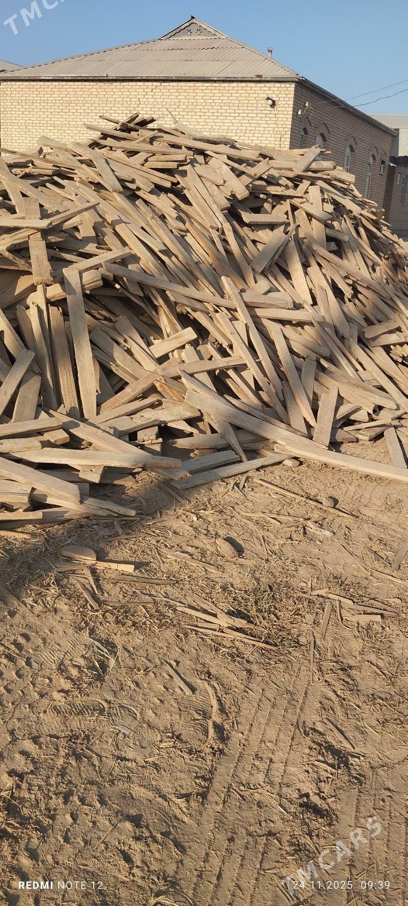 agac - Murgap - img 5