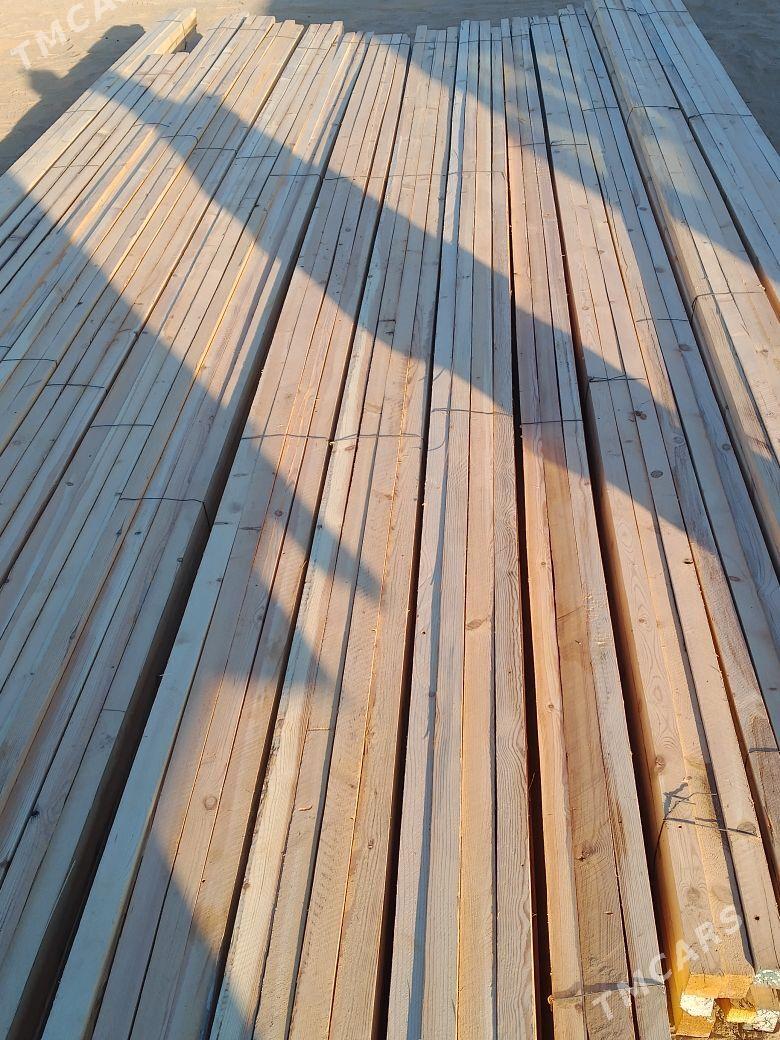 agac reyke - Murgap - img 2