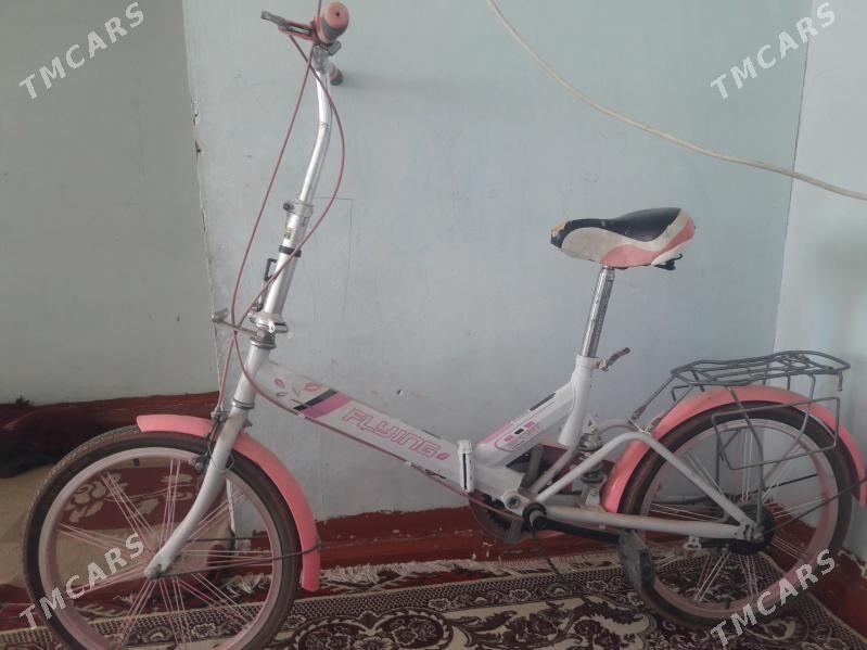 тигир - Büzmeýin - img 2