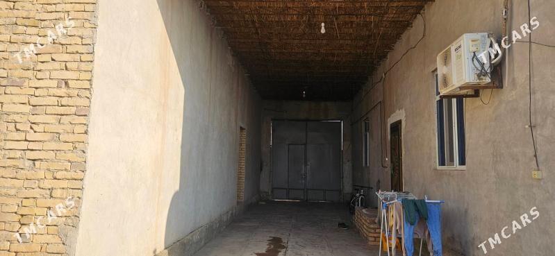 satlyk jay - Farap - img 3