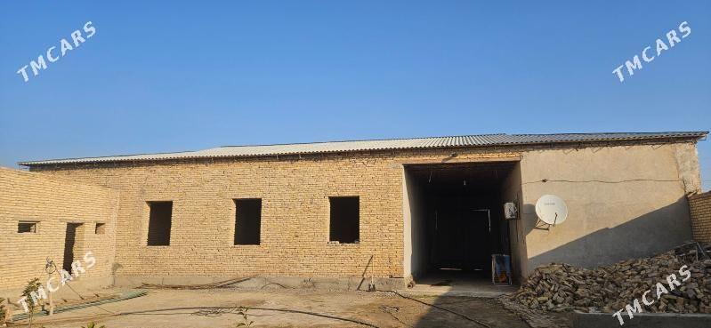 satlyk jay - Farap - img 2